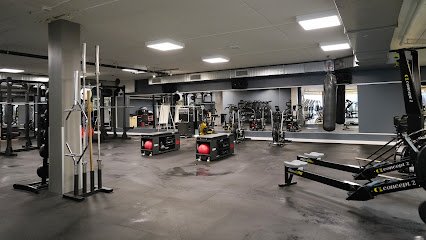 foto av Actic Falun Britsarvet