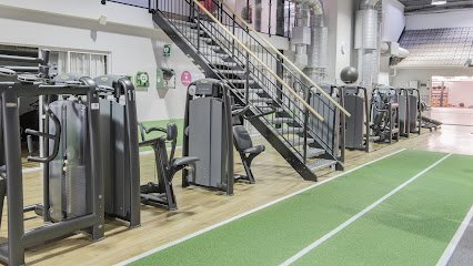 foto av Actic Hedemora