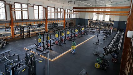 foto av Actic Uppsala Svandammen