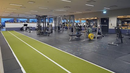 foto av Actic Varberg Hajen