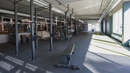 foto av Actic Västerås Kristiansborgsbadet