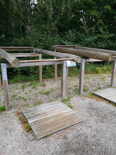 foto av Alnängarnas Utegym