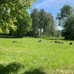 foto av Ängelholms DiscGolfPark