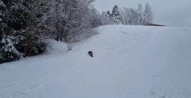 foto av Apollobacken