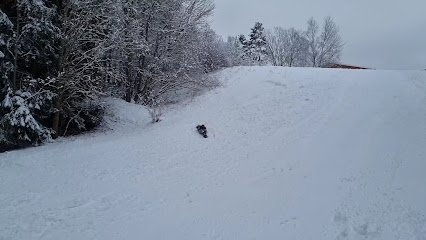 foto av Apollobacken