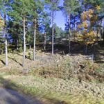 foto av Banan Outdoor