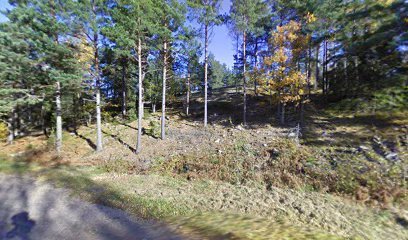 foto av Banan Outdoor