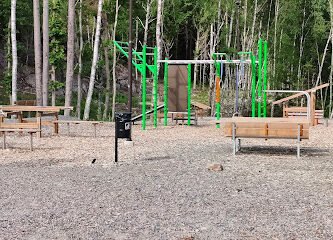 foto av Björkris Utegym