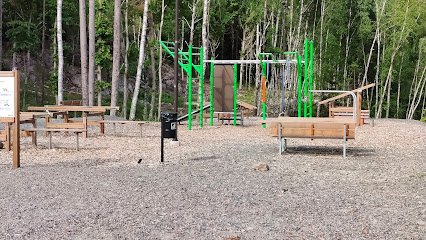 foto av Björkris Utegym