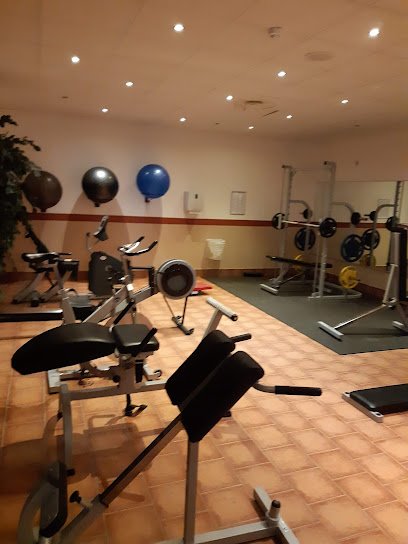 foto av Bollnäs Simsällskap