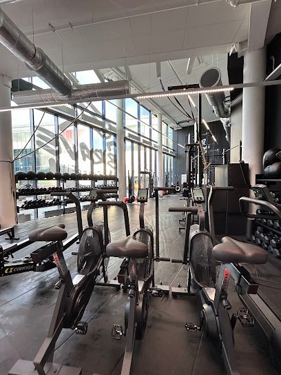 foto av Brave Fitness Malmo CrossFit