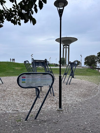 foto av Calisthenics outdoor gym