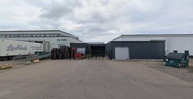 foto av Dad direct godsmott