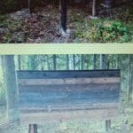 foto av Djungelgymet