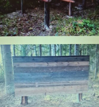 foto av Djungelgymet