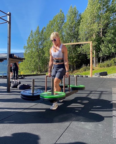 foto av Fjällfysiken