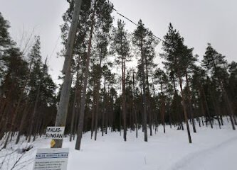foto av Grisberget Utegym