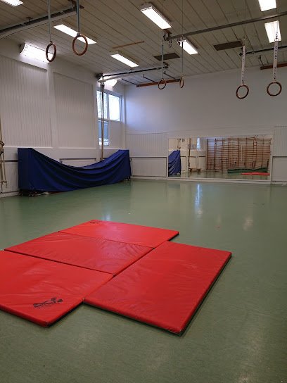 foto av Hagfors boxningsklubb