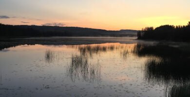 foto av Hälsans stig