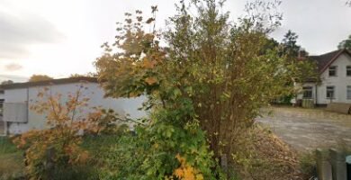 foto av Höörs boxning