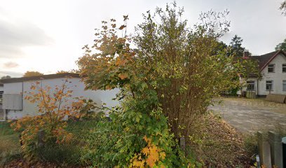 foto av Höörs boxning