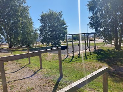 foto av IF Friskis&Svettis Uddevalla