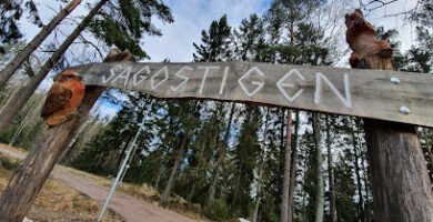 foto av Idrottsplats Vegavallen