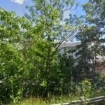 foto av Katjas kraftverk