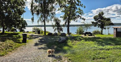 foto av Köpmanbergets utegym