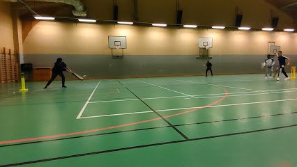 foto av Korpen Linköping