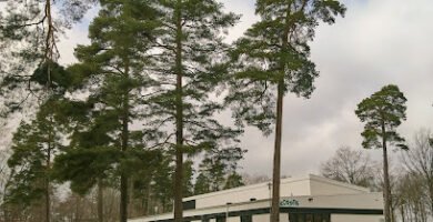 foto av Korpen Mariestads Motionsidrottsförening