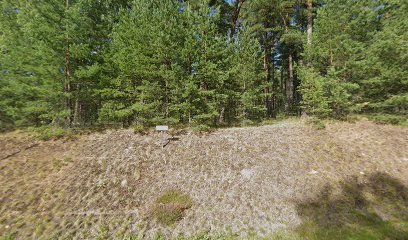 foto av Kronoskogens Utegym