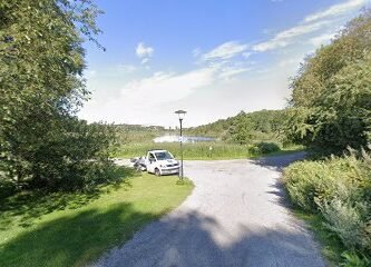 foto av Lunchloppet Solna