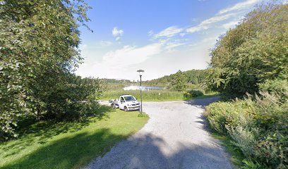 foto av Lunchloppet Solna