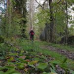 foto av MTB Köping Karlbergsskogen