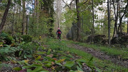 foto av MTB Köping Karlbergsskogen