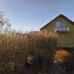 foto av Malungs Atletklubb