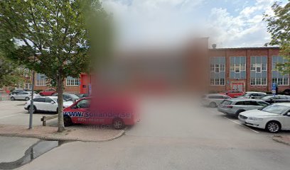 foto av More Than Training