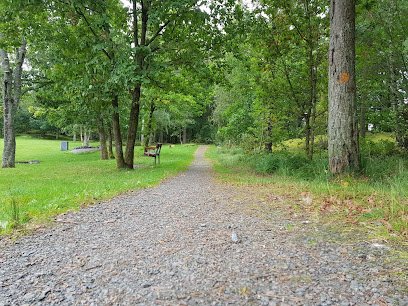 foto av Motionsspår