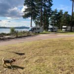 foto av Motionsspår