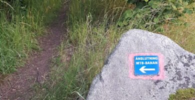 foto av Mountainbike trail