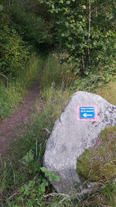 foto av Mountainbike trail