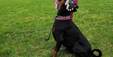 foto av Nevs Motionscentral