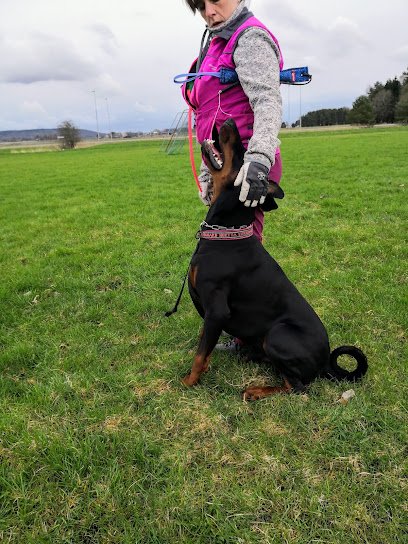 foto av Nevs Motionscentral