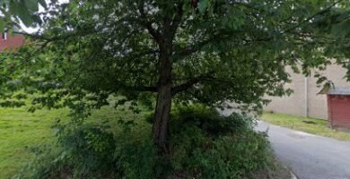 foto av Nynäshamns Atletklubb