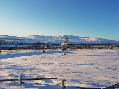 foto av Ollarsliden