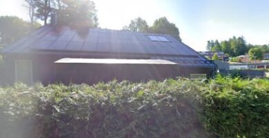 foto av Purple Power Essentials