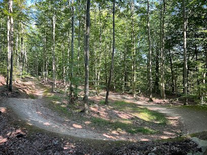 foto av Ryssberget mtb start