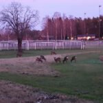 foto av Solberga Idrottsplats