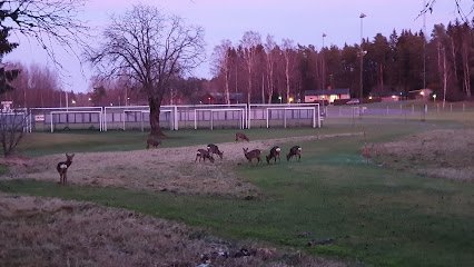 foto av Solberga Idrottsplats